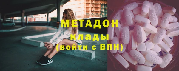 шишки Кодинск