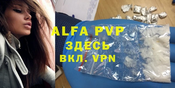 прущие грибы Армянск