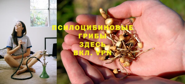 а пвп мука Аркадак