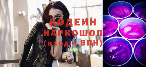 шишки Кодинск
