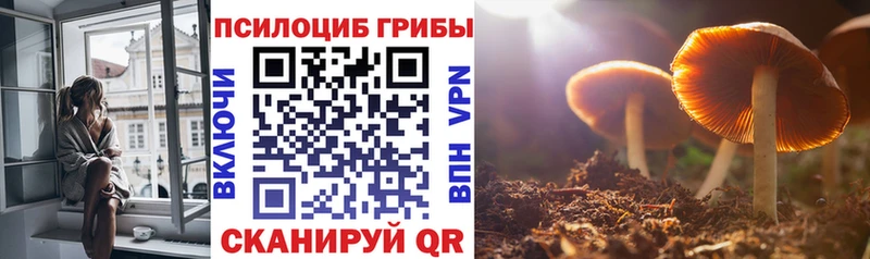 наркошоп  Ельня  Псилоцибиновые грибы мицелий 